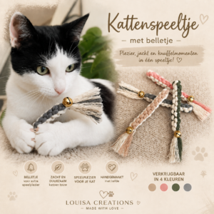 Kattenspeeltje met belletje